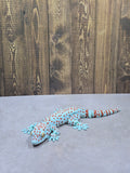 Tokay Gecko