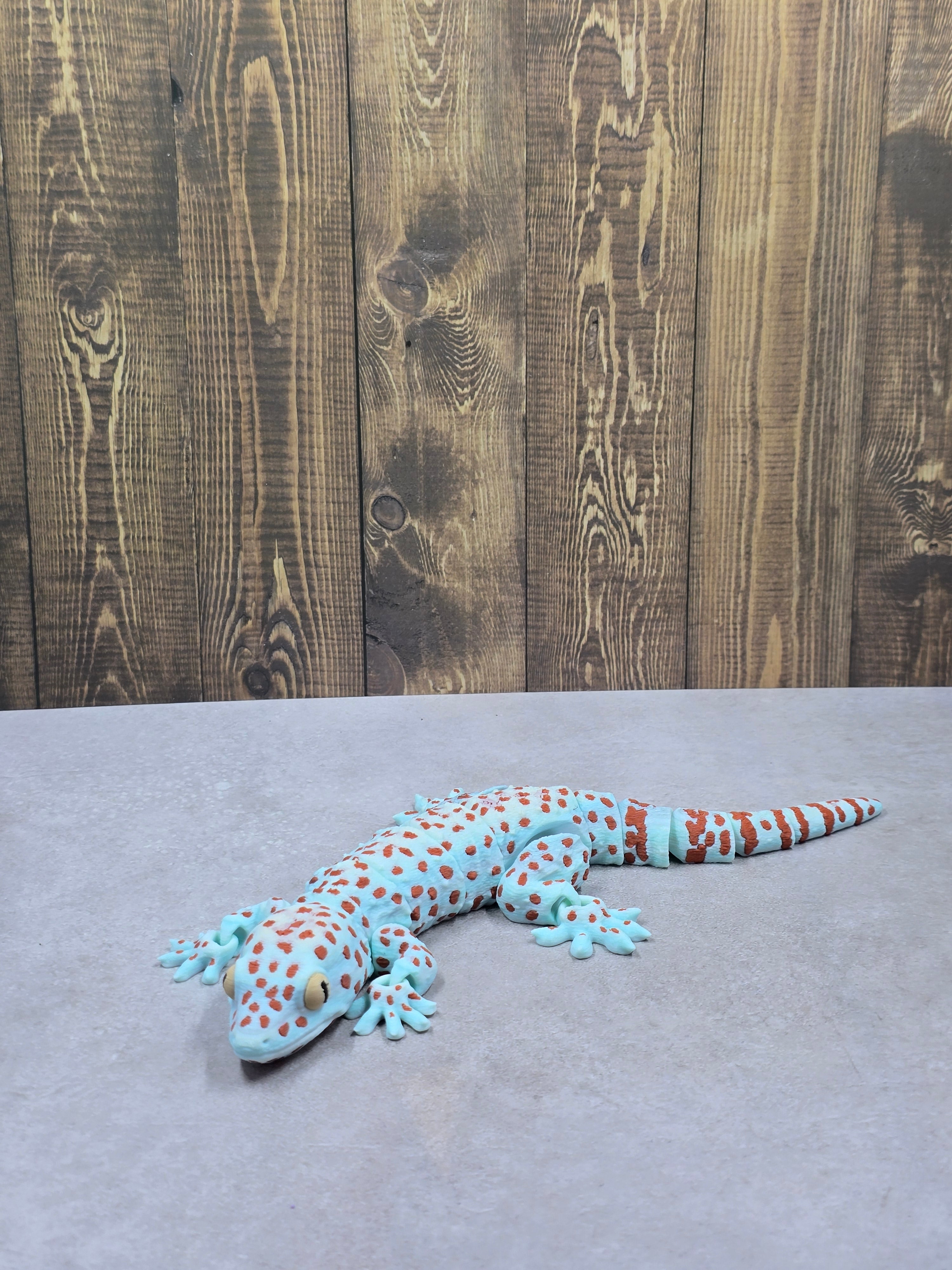 Tokay Gecko