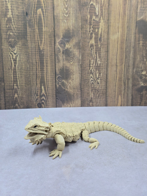 Bearded Dragon