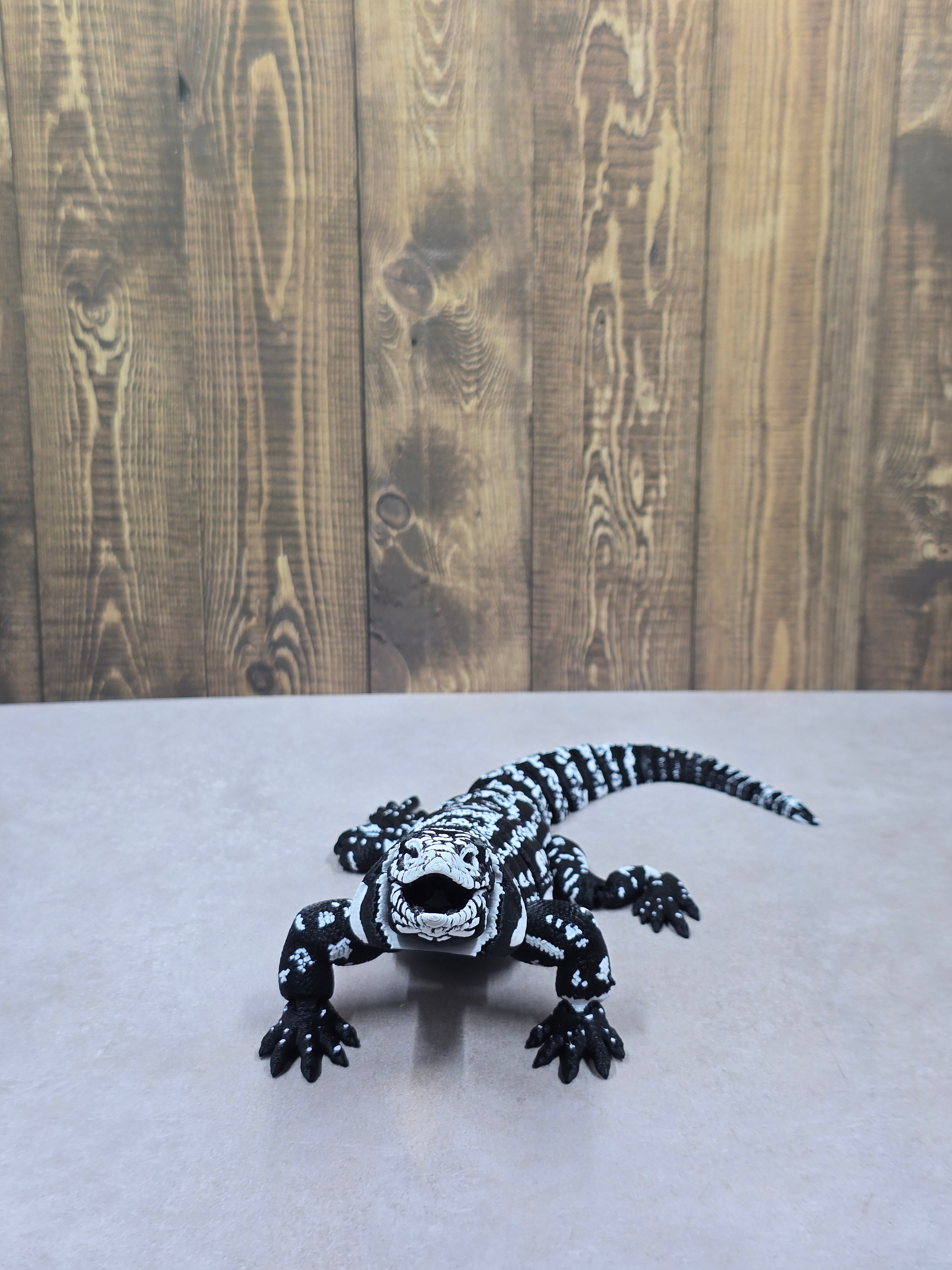 Argentine B&W Tegu
