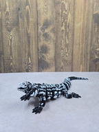 Argentine B&W Tegu