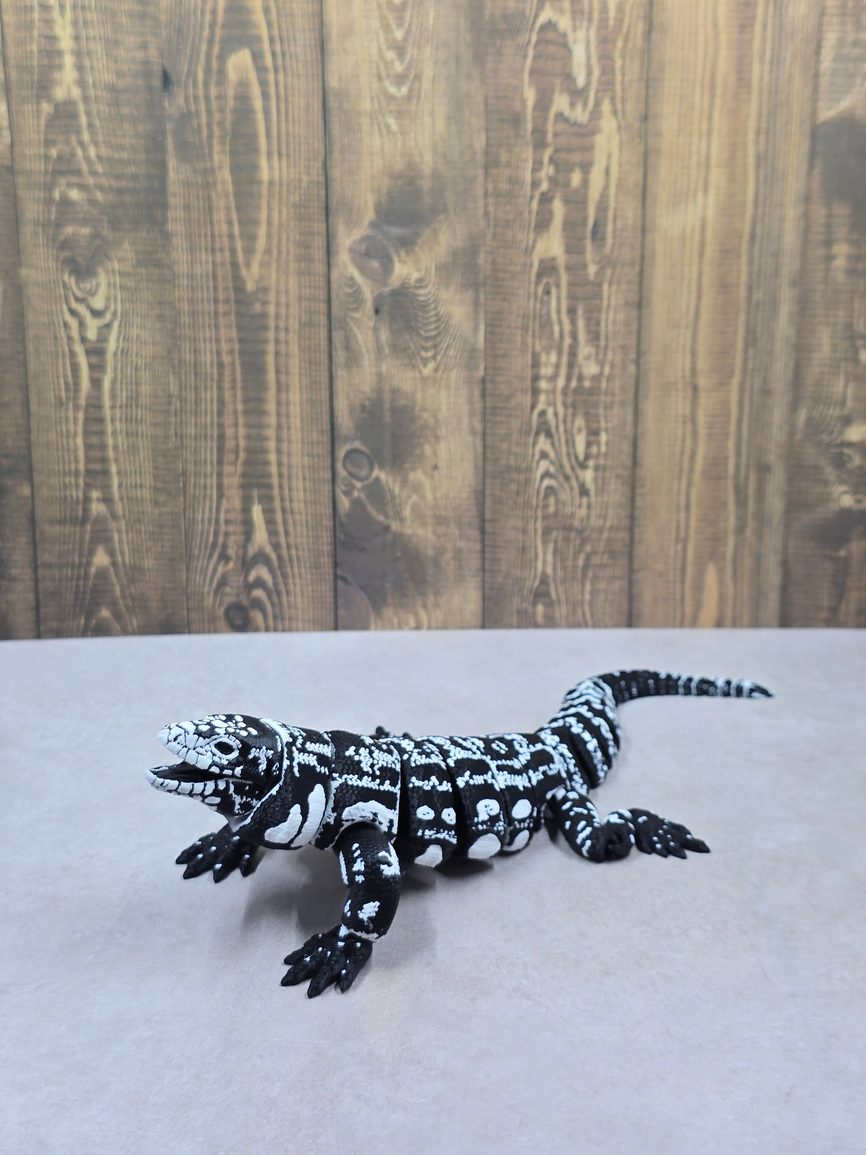 Argentine B&W Tegu