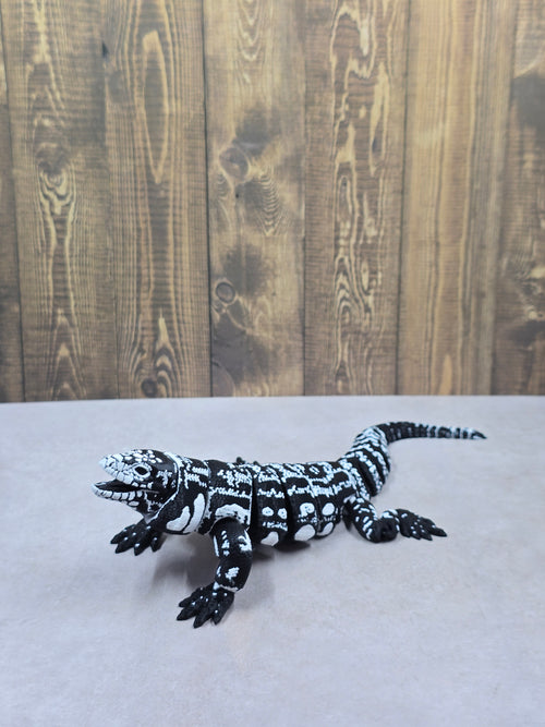Argentine B&W Tegu