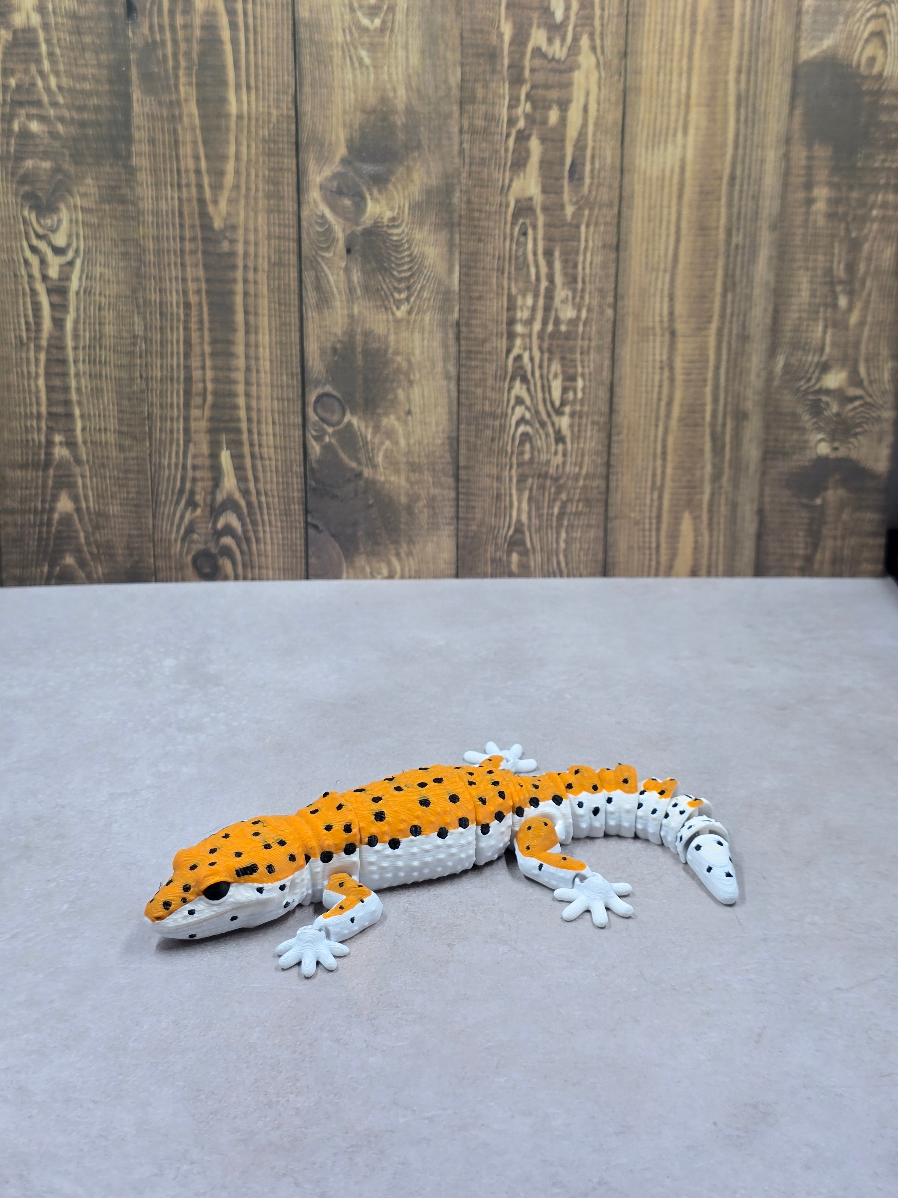 Leopard Gecko