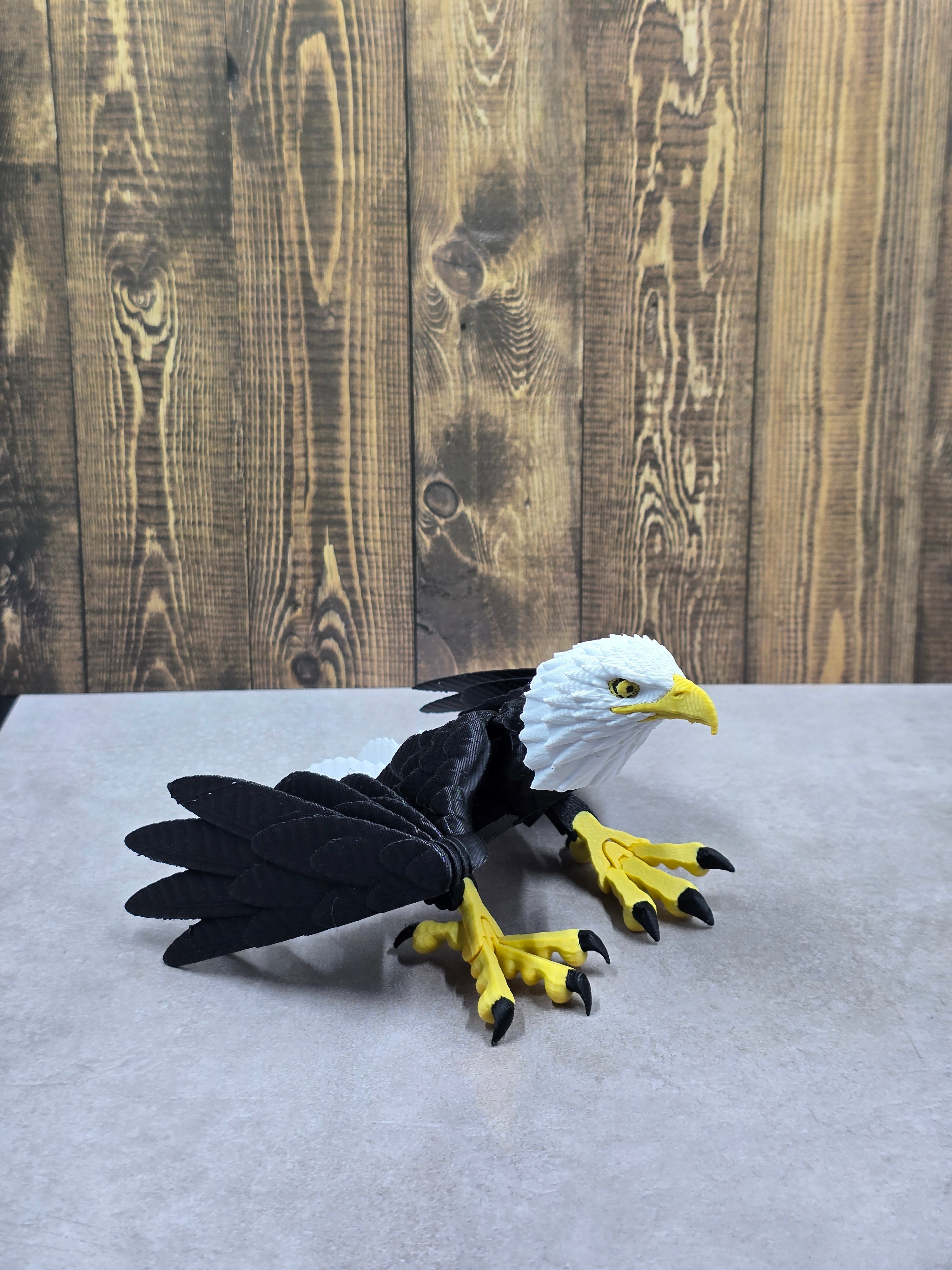 Bald Eagle
