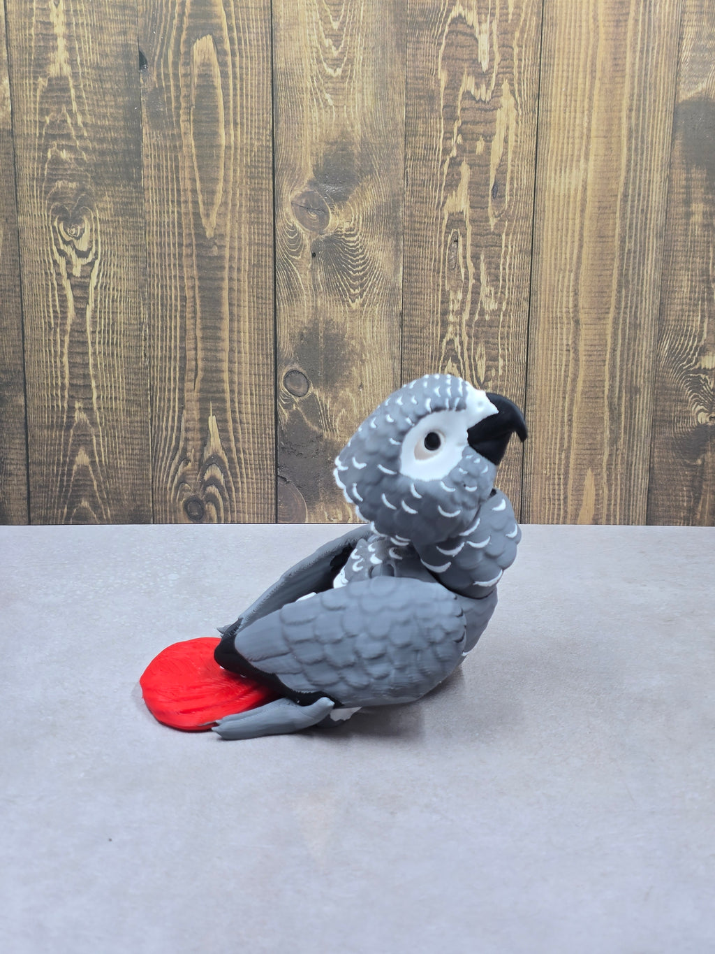 African Grey