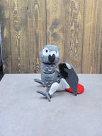 African Grey