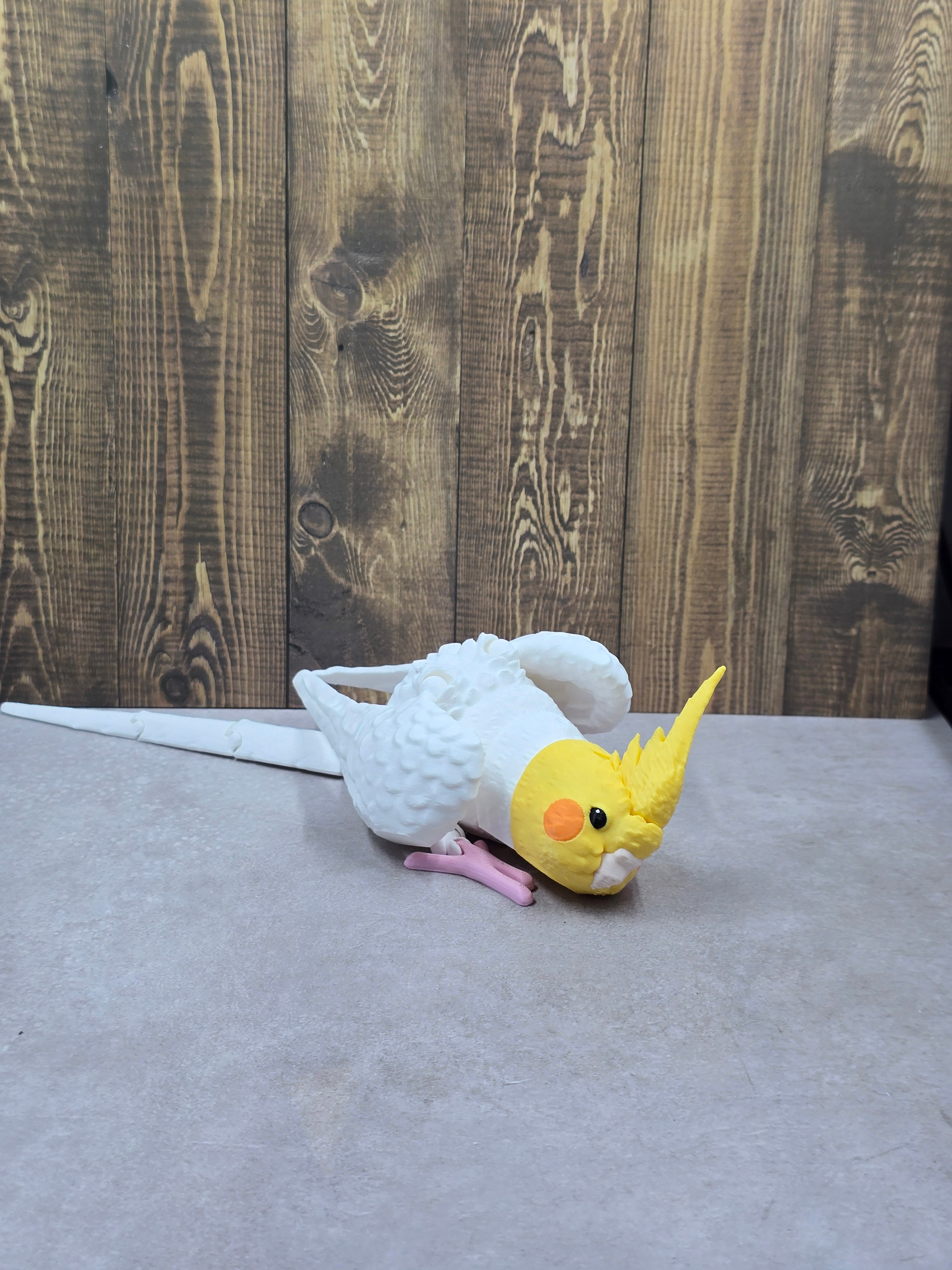 Cockatiel