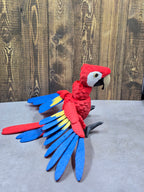 Scarlet Macaw