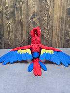 Scarlet Macaw